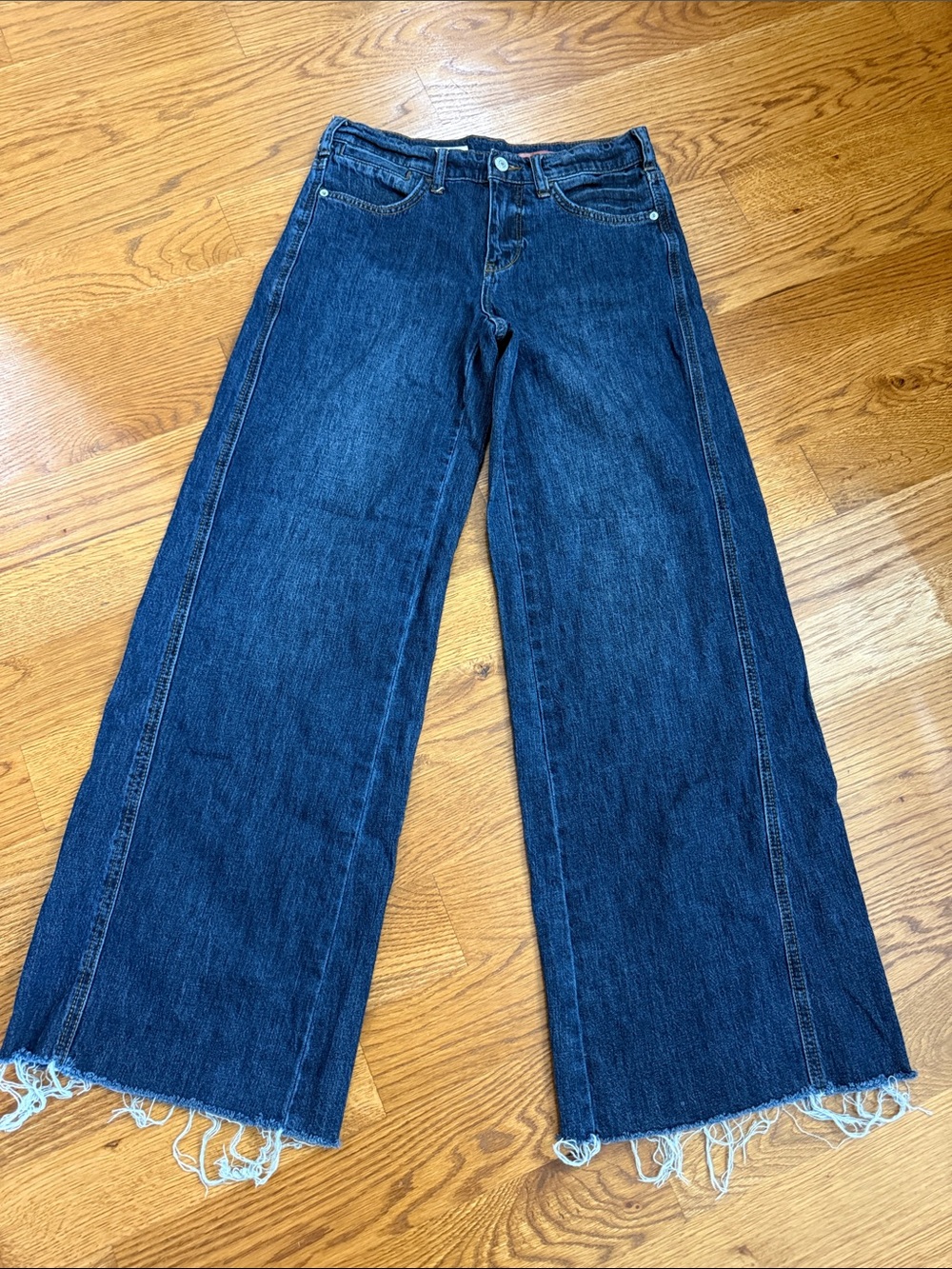 Pilcro & The Letterpress The Ruth Wide Leg Raw Hem Jeans Size 25